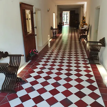 Hotel Nappini Lizzano In Belvedere